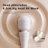 Dual Head AV Wand